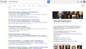 SEM o SEO Web Google Ejemplo 1
