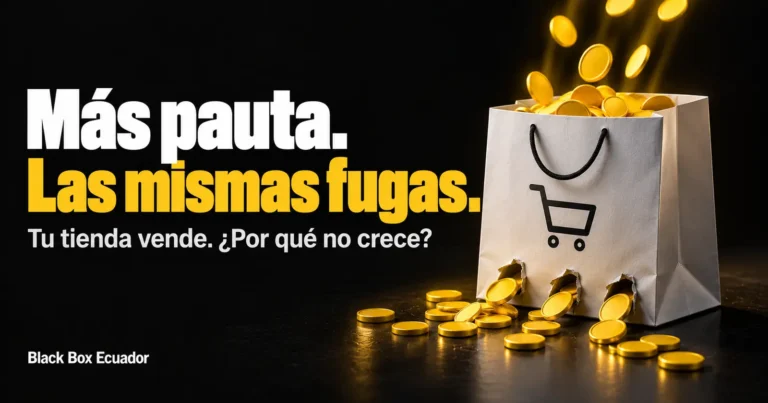 Marketing E-commerce Mas pauta mismas fugas de dinero